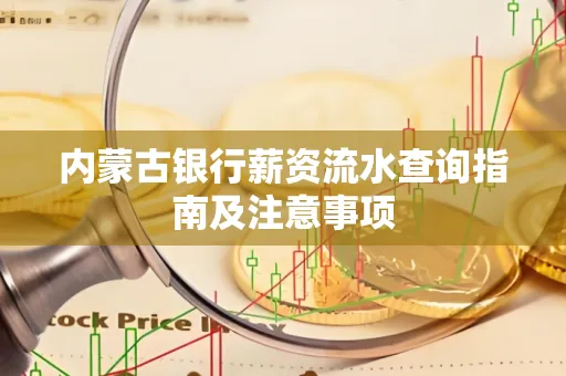 内蒙古银行薪资流水查询指南及注意事项