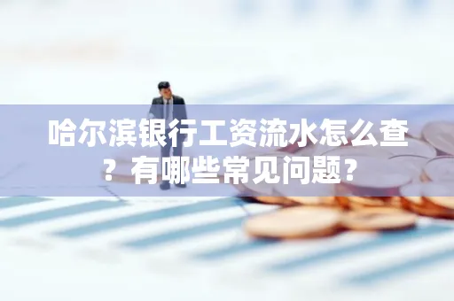 哈尔滨银行工资流水怎么查?有哪些常见问题?