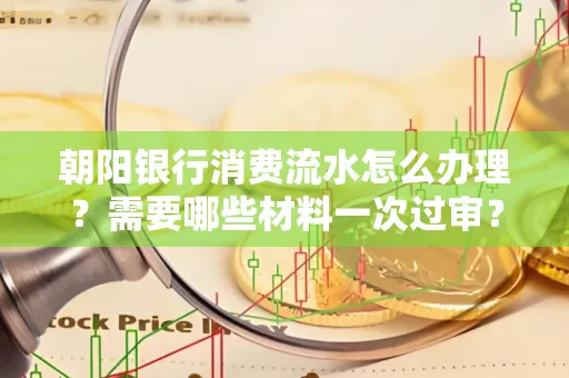 朝阳银行消费流水怎么办理?需要哪些材料一次过审?